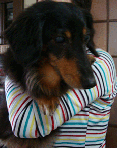 f0232522_19313786.gif