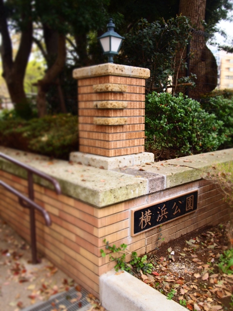 b0177323_16521878.jpg