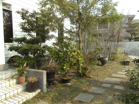 d0207324_1714.jpg