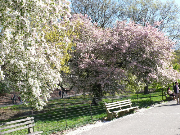 f0200433_62082.jpg