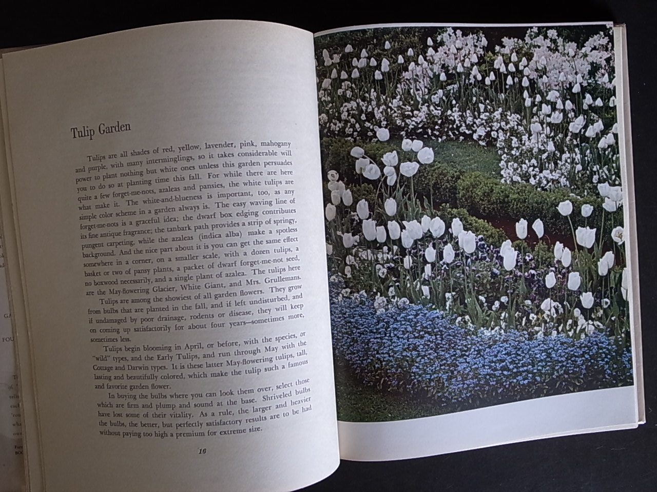 GARDENS IN COLOR / Richard Pratt (Text) and Edward Steichen (Photo)_a0227034_1430289.jpg