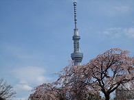 b0184436_11214145.jpg