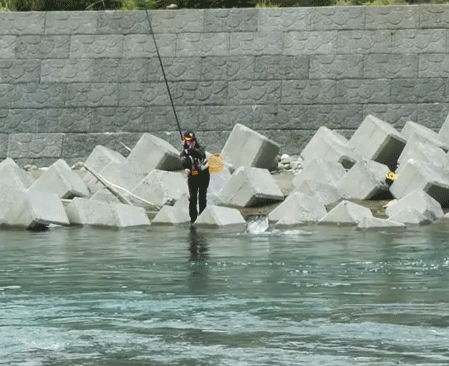 a0056140_16325332.gif
