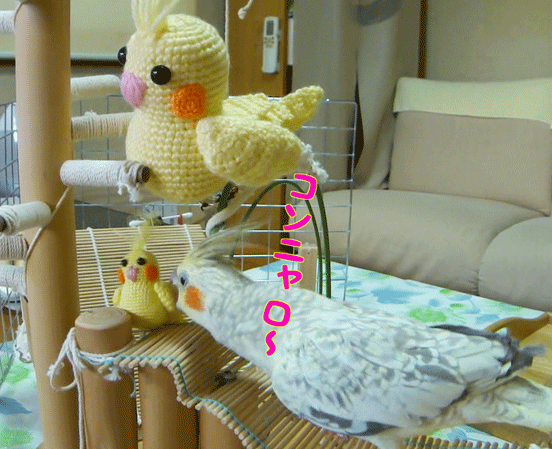 a0056140_1820487.gif