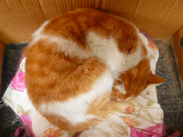 d0170140_14165.jpg