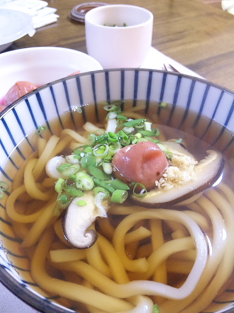 梅干うどん_e0196845_1219851.jpg