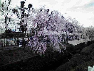f0226346_11234579.jpg