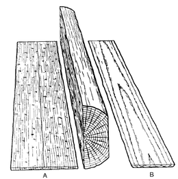 マサメとイタメ_d0179447_20112766.png