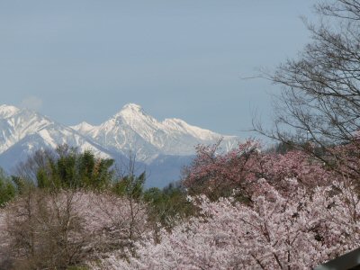 f0019247_04770.jpg
