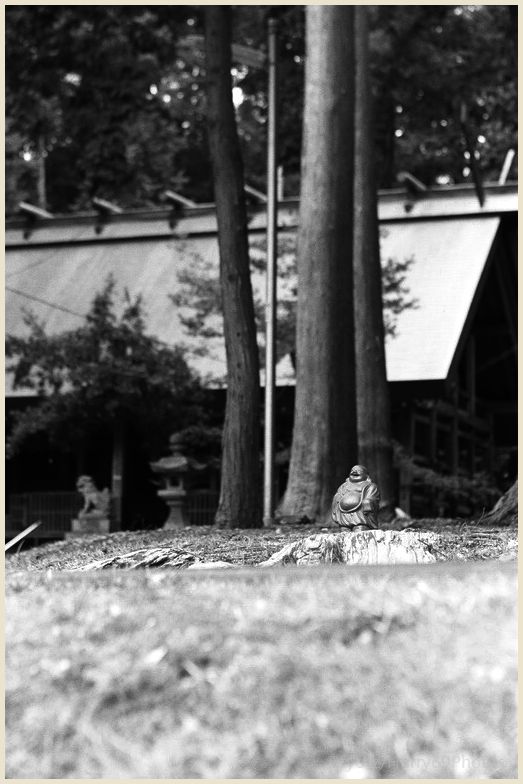 帰郷#8 Leica M2 M3_e0063851_17333697.jpg