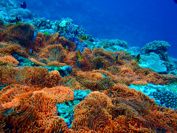 d0113459_21584072.jpg
