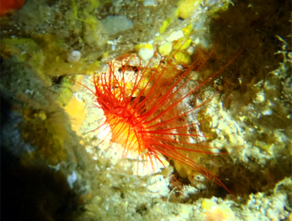 d0113459_2204740.jpg
