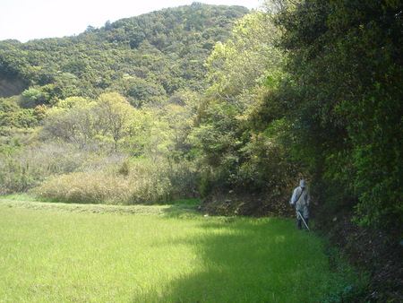 みさき里山クラブ定例活動日：出前草刈り　＆　間伐_c0108460_1513737.jpg