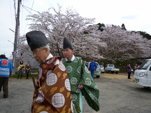 桜の日本に戻ってきました_b0100062_21265536.jpg