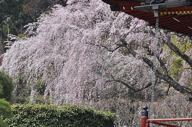 b0053765_14572918.jpg