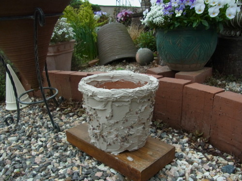 b0194267_2054348.jpg