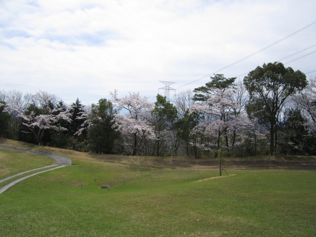お花見ゴルフ_f0205367_18491378.jpg