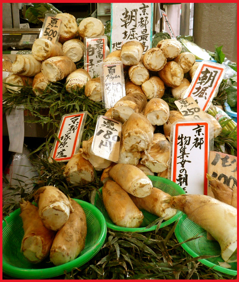 春をいただきに京都へ。旬を食べて、長生き・・・ネッ!_e0236072_16321331.jpg