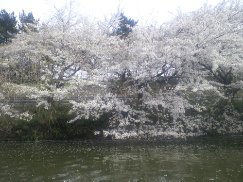 f0117673_00157.jpg