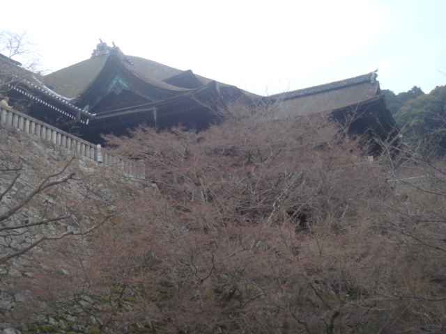 tete研修旅行～大阪・京都～その4_a0236675_18155851.jpg