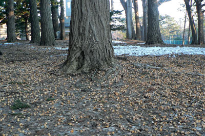 f0083977_2146289.jpg
