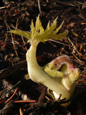 f0083977_2263135.jpg