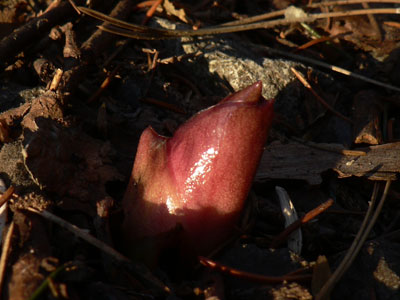 f0083977_2281169.jpg