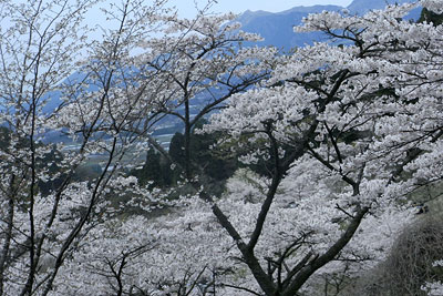 c0152779_19345414.jpg