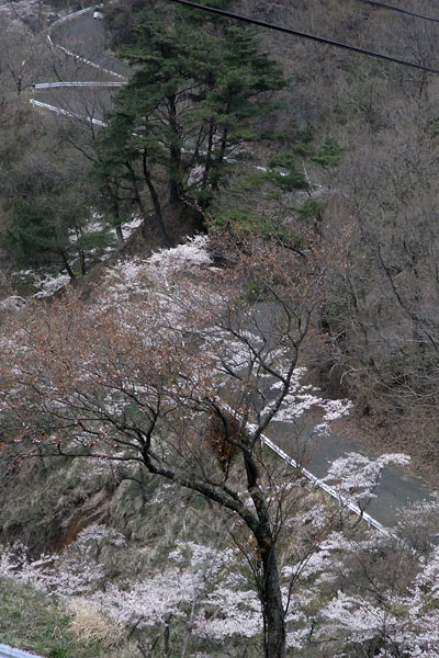 c0152779_19473732.jpg