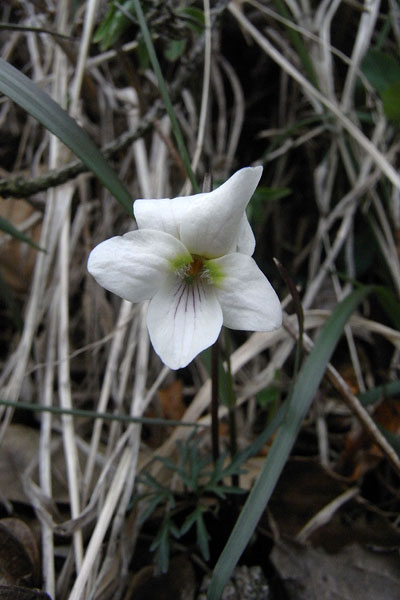 c0152779_2022075.jpg