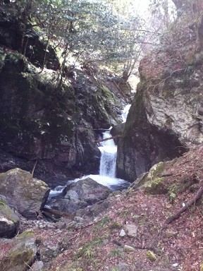 e0247279_2391395.jpg