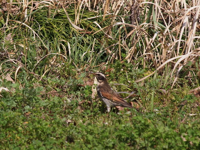 e0242086_2205759.jpg