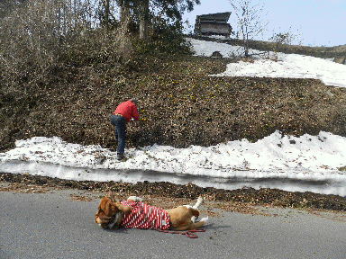 f0205887_18142160.gif