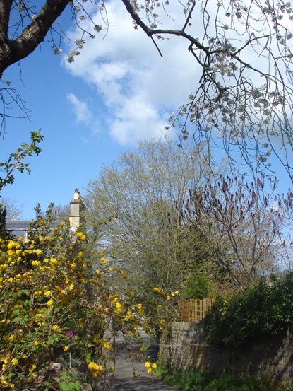 c0132488_53558.jpg
