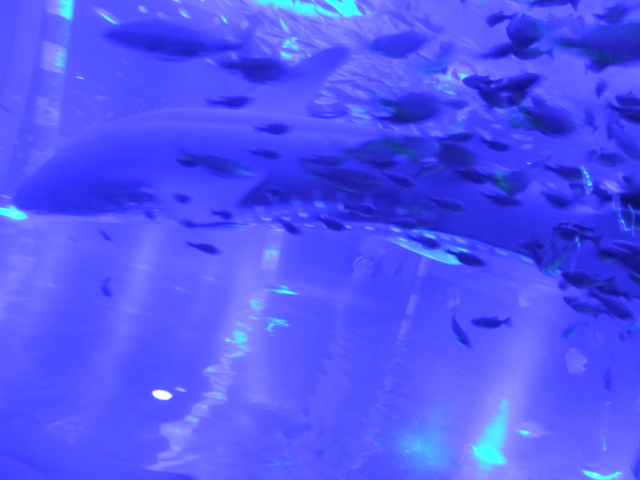 c0204188_06142.jpg
