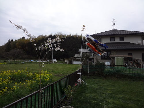 f0231288_1533337.jpg
