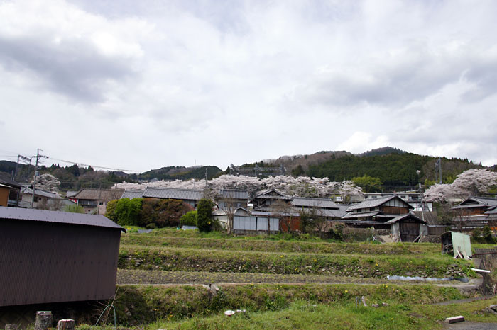 f0175989_231110.jpg