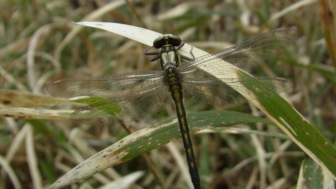 a0152692_18195027.jpg
