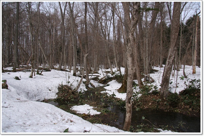 f0146493_22701.jpg