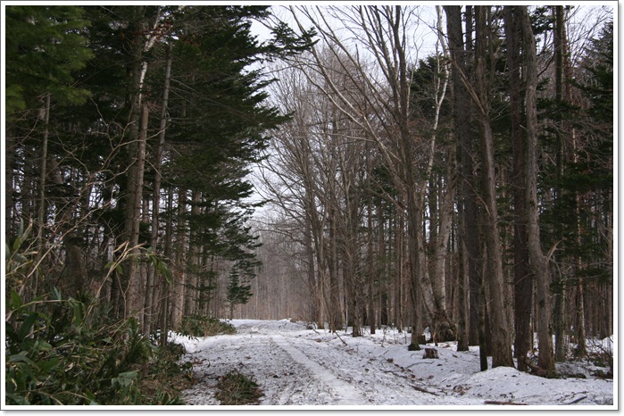 f0146493_2271452.jpg