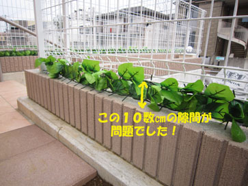 はじめての お客さま♪_e0125894_23444865.jpg