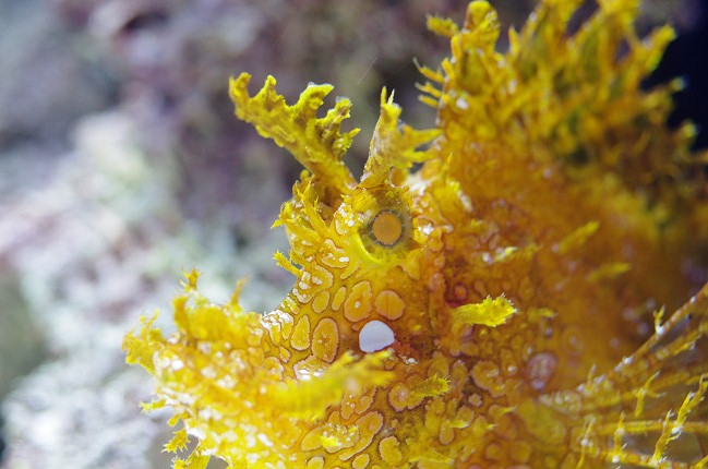 b0211695_2330667.jpg