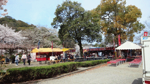 彦根の桜2012_c0093196_1012389.gif