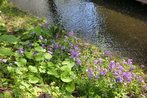 f0153998_2151644.jpg