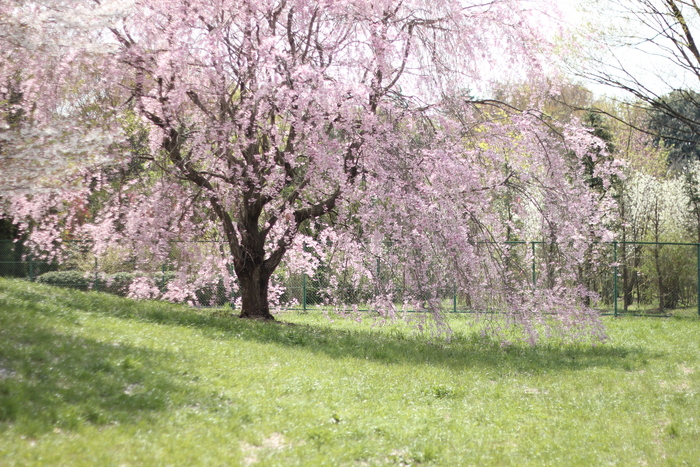 a0248700_2052425.jpg