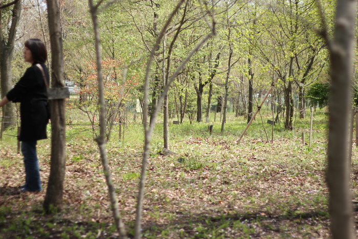 a0248700_2073984.jpg
