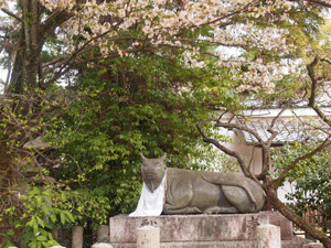 c0128402_1123630.gif