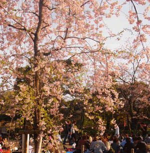 c0128402_11353625.gif