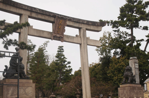 c0128402_1153812.gif