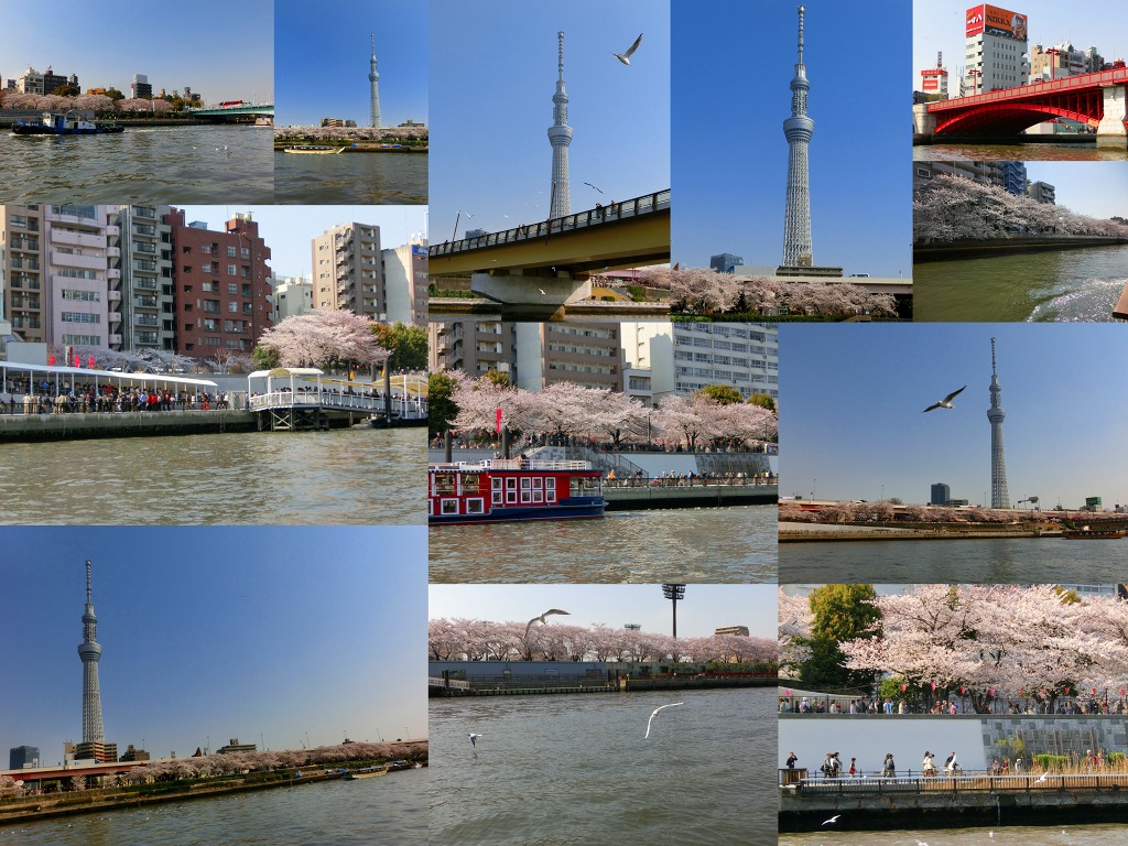 b0190603_5385761.jpg